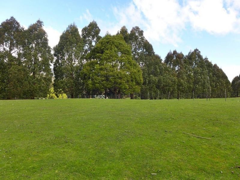 1816 Wilmot Road, Lower Wilmot TAS 7310