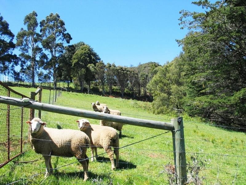 North Motton TAS 7315