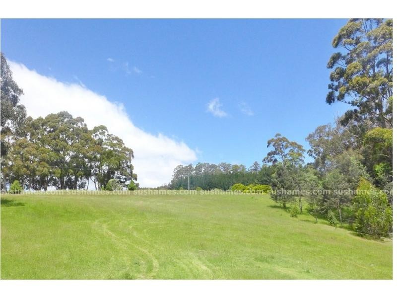 516 Staverton Road, Promised Land TAS 7306