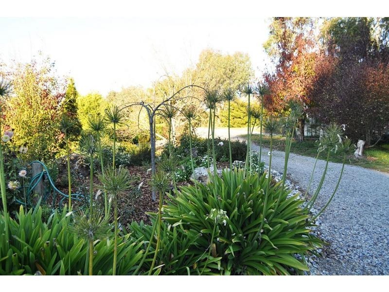 Promised Land TAS 7306