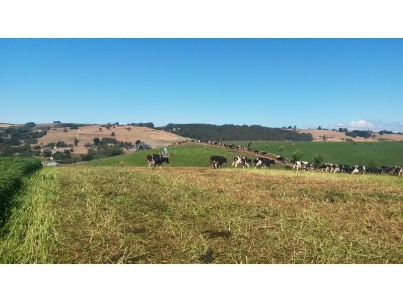 Ulverstone TAS 7315