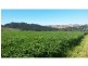 Ulverstone TAS 7315