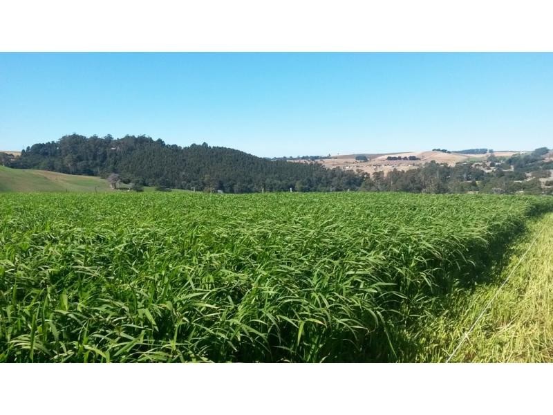 Ulverstone TAS 7315