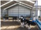 Ulverstone TAS 7315