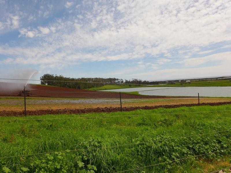 353 Port Sorell Road, Wesley Vale TAS 7307