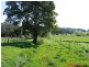 Merseylea TAS 7305