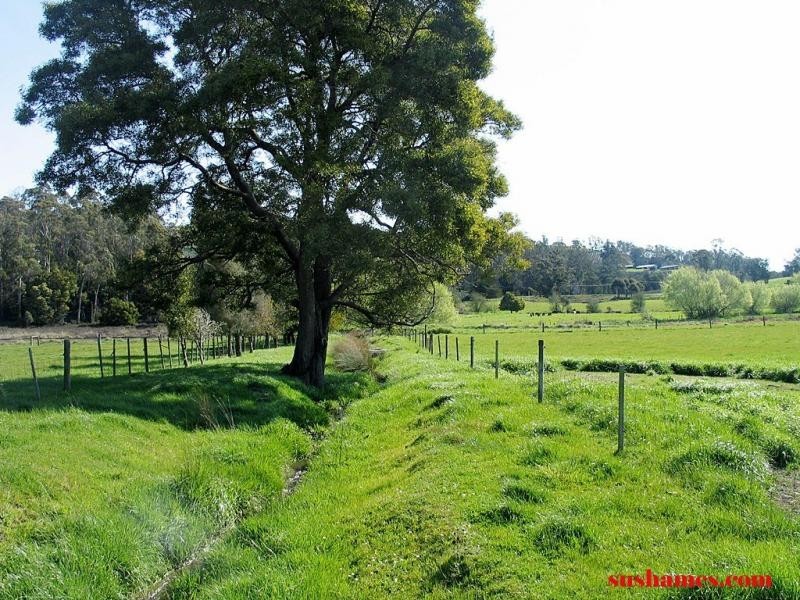 Merseylea TAS 7305