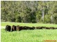 Merseylea TAS 7305