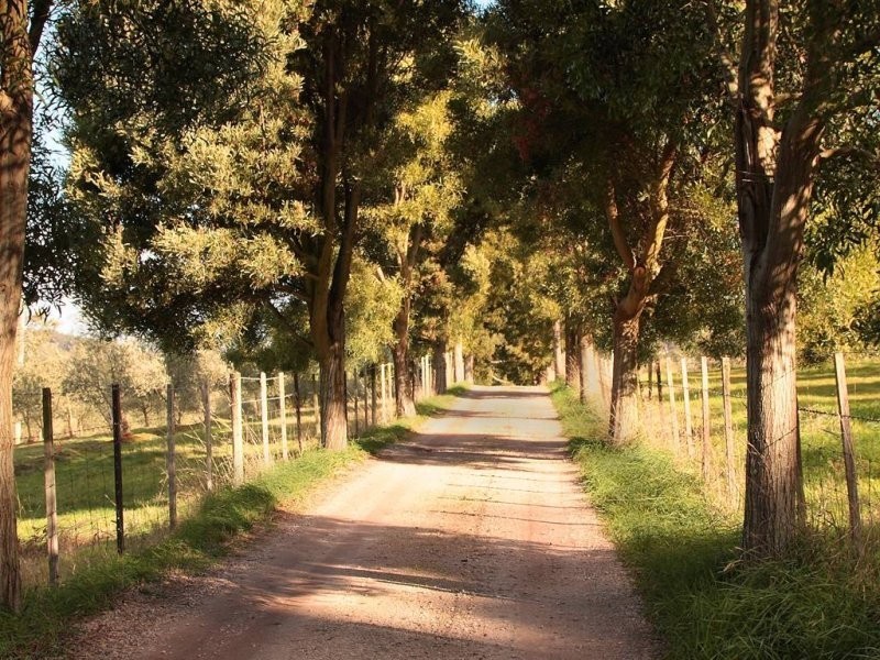 840 Sheffield Road, Lower Barrington TAS 7306