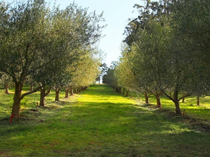840 Sheffield Road, Lower Barrington TAS 7306