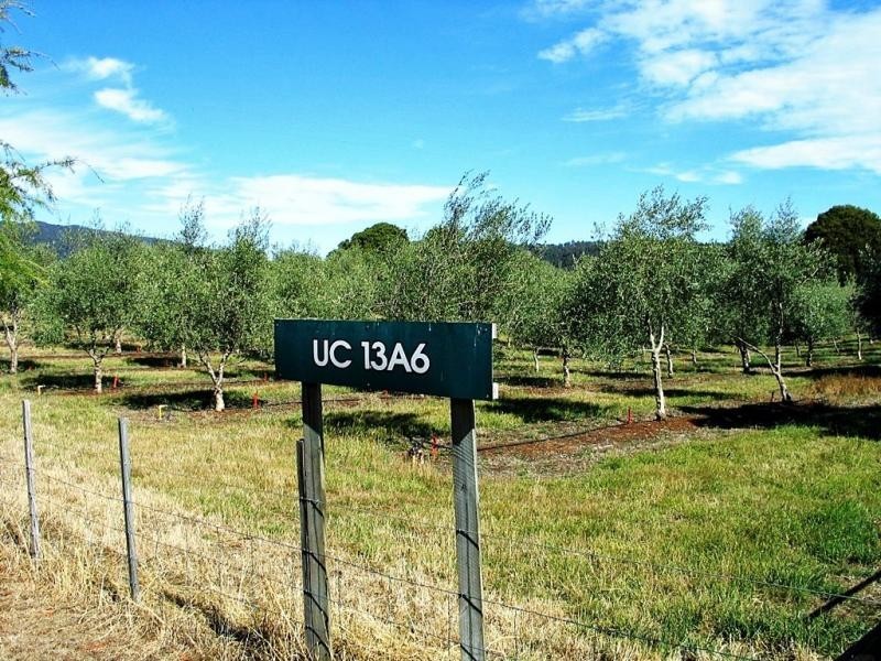 840 Sheffield Road, Lower Barrington TAS 7306