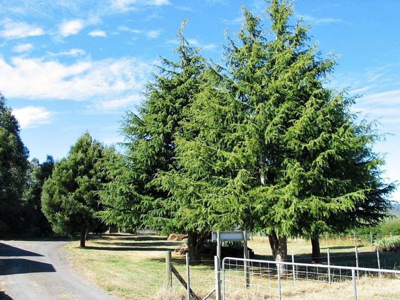 840 Sheffield Road, Lower Barrington TAS 7306