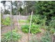 1602 Wilmot Road, Lower Wilmot TAS 7310