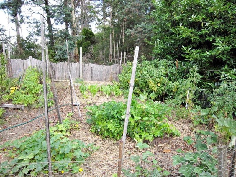 1602 Wilmot Road, Lower Wilmot TAS 7310
