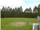 1816 Wilmot Road, Lower Wilmot TAS 7310