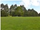 1816 Wilmot Road, Lower Wilmot TAS 7310
