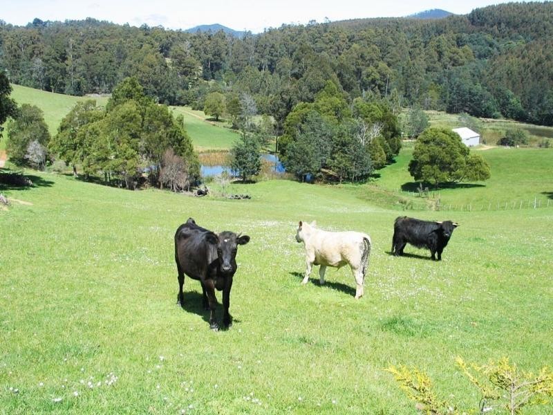 North Motton TAS 7315