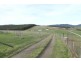 106 Weeks Road, Barrington TAS 7306