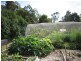 56 Henslowe Street, Spreyton TAS 7310