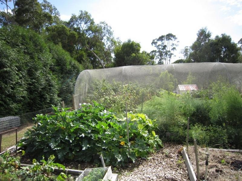 56 Henslowe Street, Spreyton TAS 7310