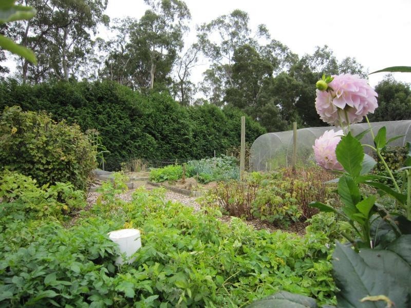 56 Henslowe Street, Spreyton TAS 7310