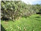 Sulphur Creek TAS 7316