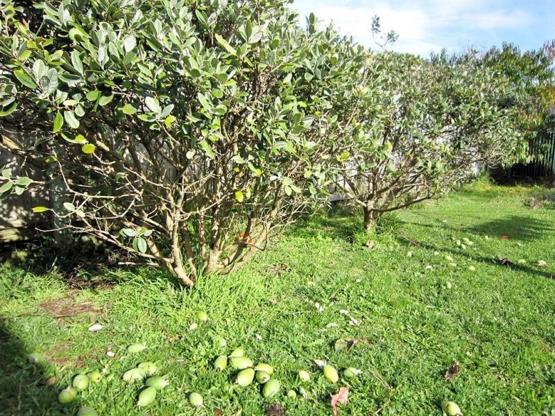 Sulphur Creek TAS 7316