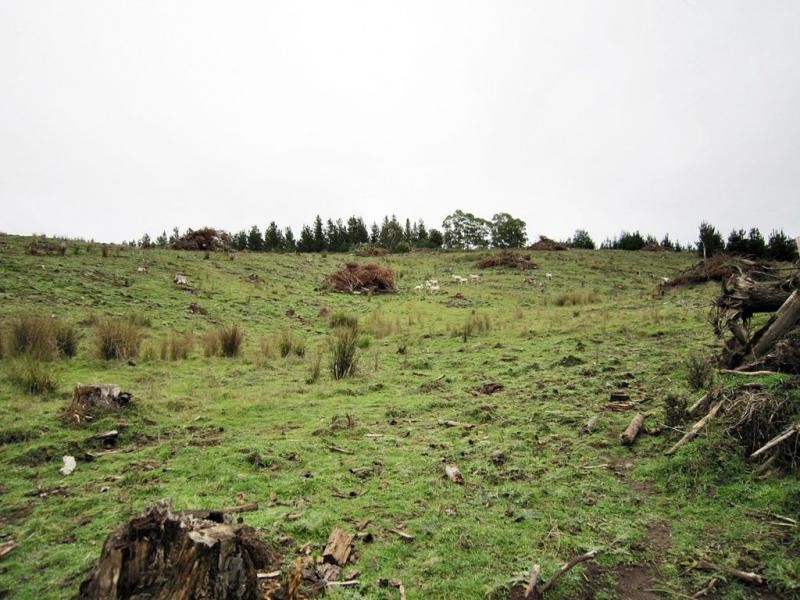 510 Lower Beulah Road, Lower Beulah TAS 7306