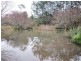 510 Lower Beulah Road, Lower Beulah TAS 7306