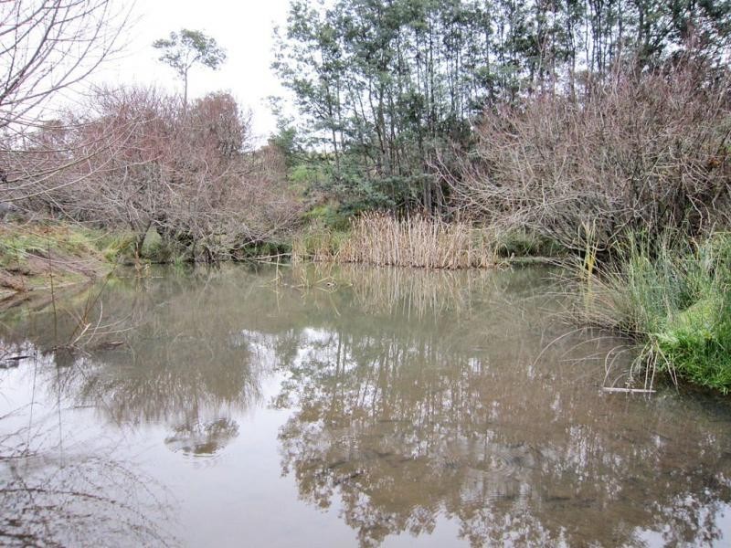 510 Lower Beulah Road, Lower Beulah TAS 7306