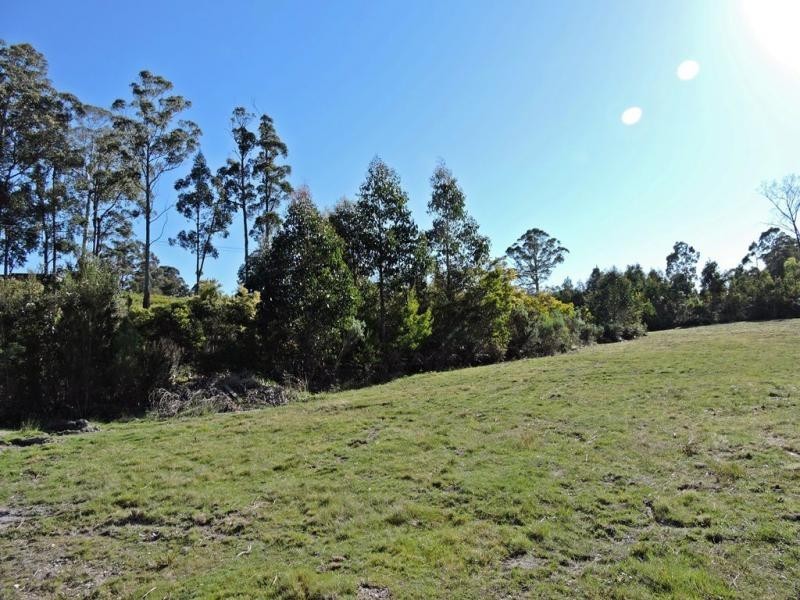 1 Mangana Drive, Tugrah TAS 7310