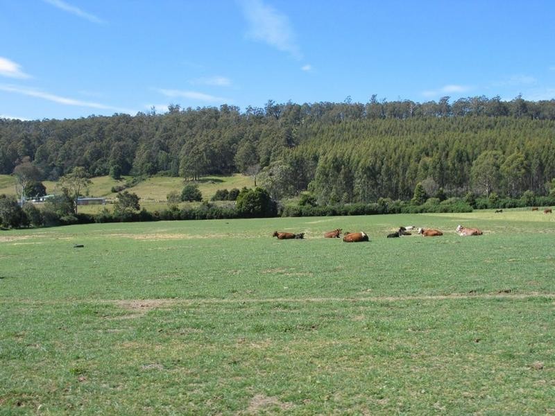 14454 Highland Lakes Road, Deloraine TAS 7304