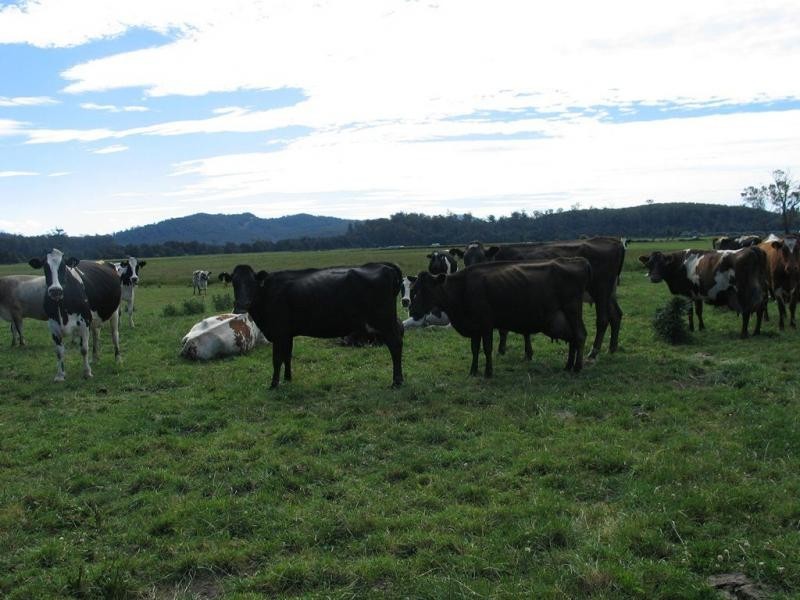 14454 Highland Lakes Road, Deloraine TAS 7304