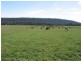 14437 Highland Lakes Road, Deloraine TAS 7304
