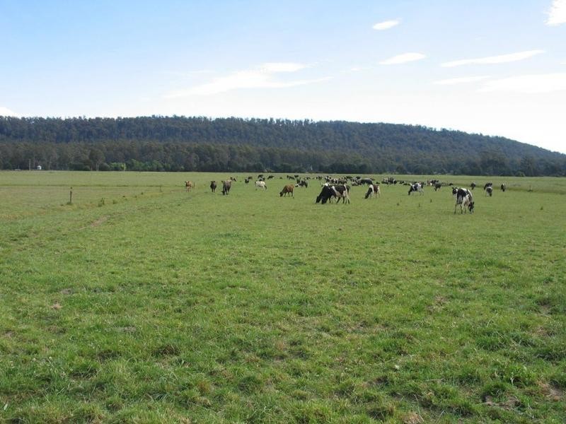 14437 Highland Lakes Road, Deloraine TAS 7304