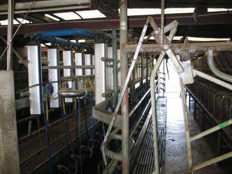 14437 Highland Lakes Road, Deloraine TAS 7304