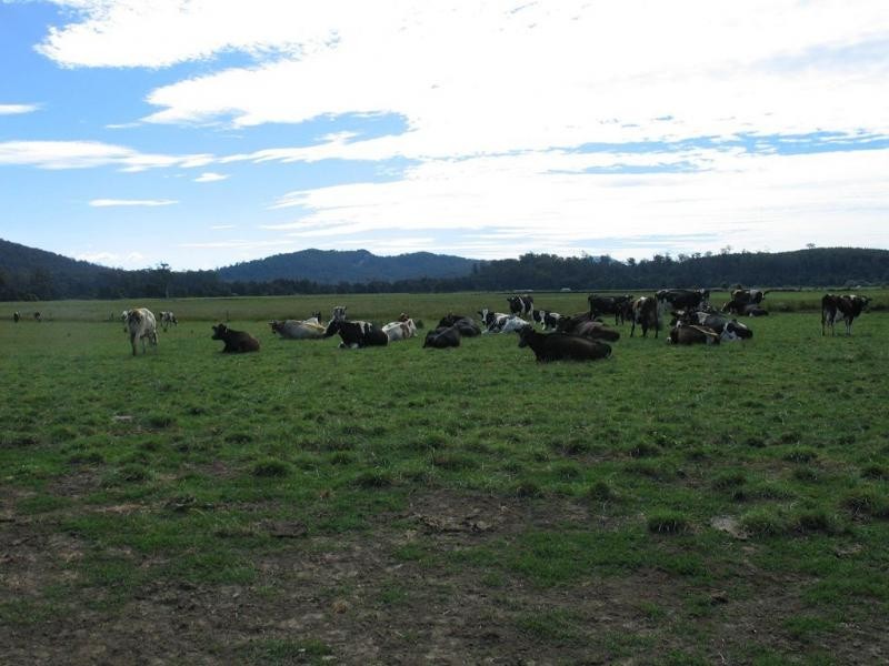 14437 Highland Lakes Road, Deloraine TAS 7304