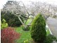 Lower Barrington TAS 7306