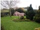 Lower Barrington TAS 7306