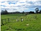 Somerset TAS 7322