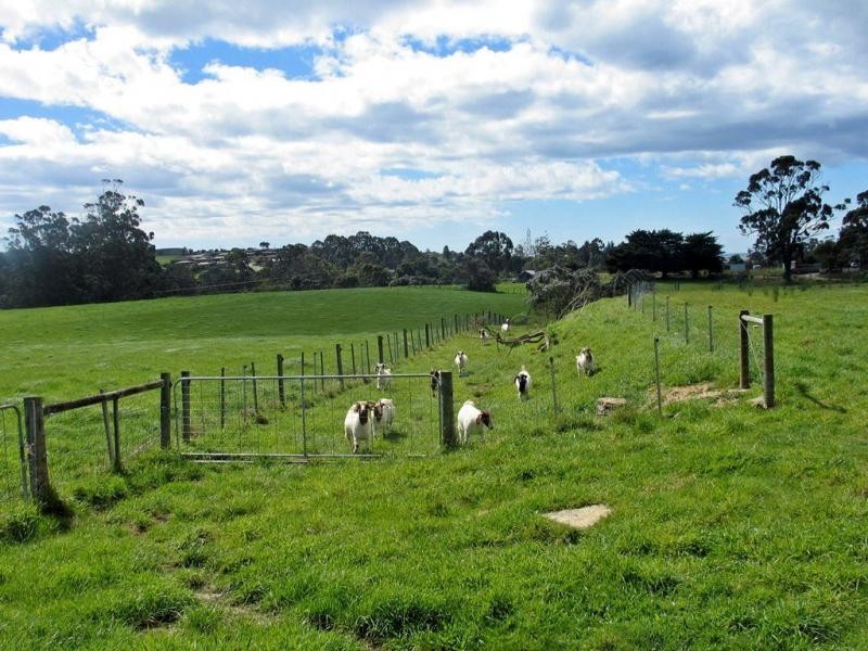 Somerset TAS 7322