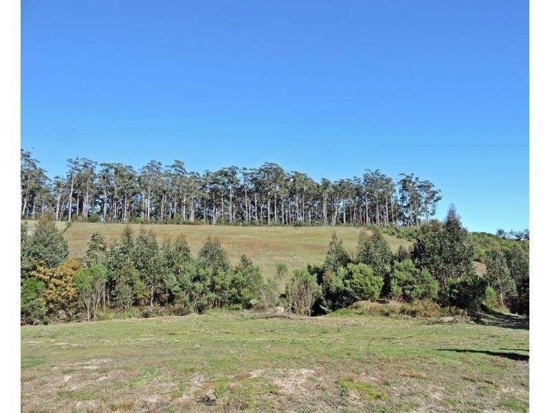 15 Mangana Drive, Tugrah TAS 7310