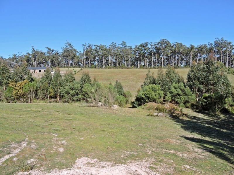 15 Mangana Drive, Tugrah TAS 7310