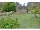437 Forthside Road, Forthside TAS 7310