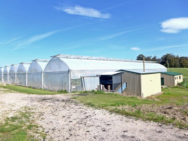 133 Nowhere Else Road, Barrington TAS 7306