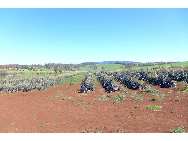 220 Torquay Road, East Devonport TAS 7310