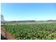 220 Torquay Road, East Devonport TAS 7310