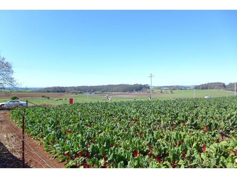 220 Torquay Road, East Devonport TAS 7310