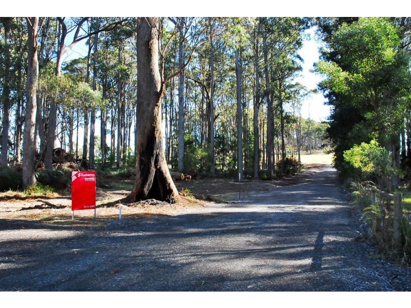 Lot 4 Chaplin Road, Northdown TAS 7307
