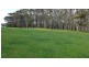 Lot 4 Chaplin Road, Northdown TAS 7307